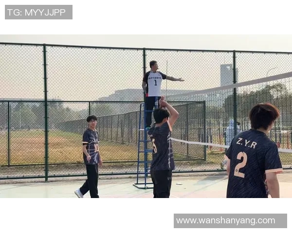 深圳排球队的精神力量与团队意识探讨：排球运动中的团结与拼搏精神