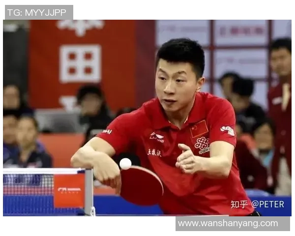 赵强的乒乓球人生深度对话探索他的成长与奋斗历程
